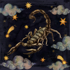 Wall Mural - zodiac sign - scorpio. watercolor illustration.