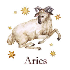 Wall Mural - zodiac sign - aries. watercolor illustration. isolated