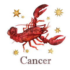 Wall Mural - zodiac sign - cancer. watercolor illustration. isolated.