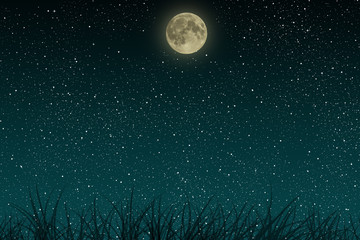 Wall Mural - Beautiful blue night starry sky with full moon and growing grass