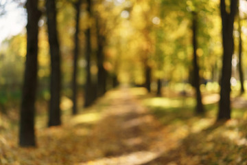 bokeh background of autumn town alley with golden fall trees and fallen leaves