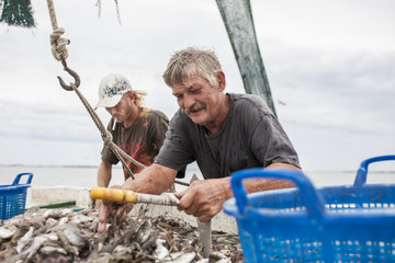 Workers sorting catch on commercial fishing vessel