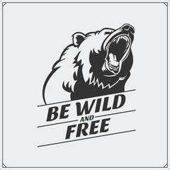 the emblem with bear.