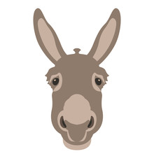 Donkey Head Face Vector Illustration Style Flat