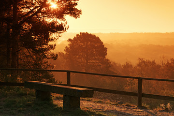 Poster - La malmontagne, forêt de Fontainebleau