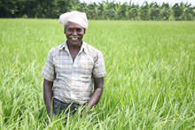 Indian Man Holding Sickle And Crops