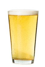 PInt Glass Of Light Beer Pilsner Lager Isolated On White Background For Use Alone Or As A Design Element