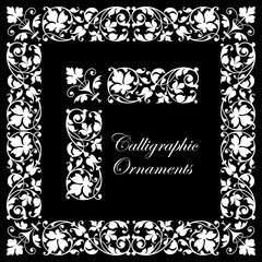 Wall Mural - Decorative calligraphic ornaments - isolated on black background