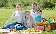 © JackF - Smiling family of four having a picnic outdoors