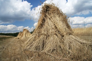 arranged in stacks of grain 2