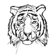 Tiger. Head. Wild animal. The logo for your design. Hand drawn.