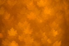 Defocused Grunge Maple Leaves Autumn Yellow Abstract Background Bokeh