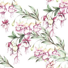 Seamless Pattern With Fuchsia. Hand Draw Watercolor Illustration