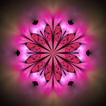 Abstract Flower Mandala On Black Background. Symmetrical Pattern In Pink And Red Colors. Fantasy Fractal Design For Postcards, Wallpapers Or Clothes.