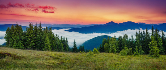 Wall Mural - Majestic summer landscape