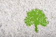 © Yury Zap - green tree symbol