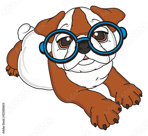wallpapers White Cartoon Dog With Glasses lying glasses dog animal pet puppy