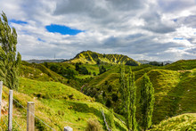Panoramic View From Forgotten World Highway, New Zealand