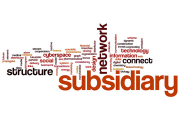 Subsidiary word cloud