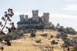 © John Hofboer - Castillo Almoldóvar del Rio