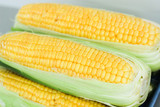 Fototapeta Desenie - Fresh corn cobs