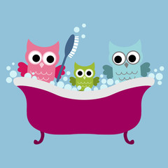  Owl family sitting in the bath