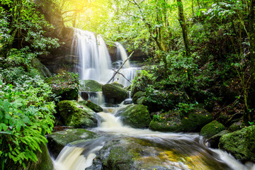 Mun Dang Waterfall in deep forest fresh green rain season in Tha