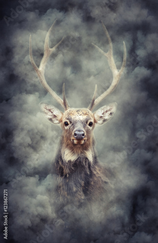 Plakaty Jeleń   jelen-w-dymie