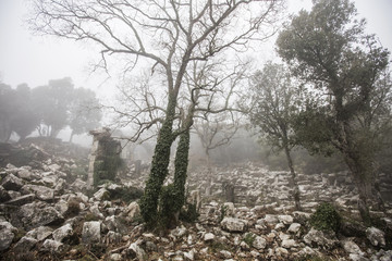 Termessos, Antalya