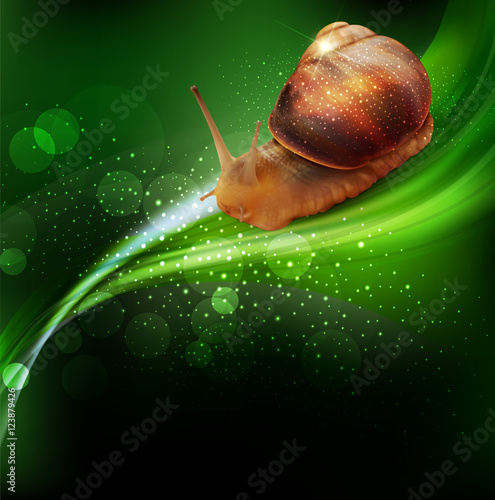grafika-wektorowa-slimak-z-muszla-na-zielonym-tle
