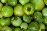 Fototapeta  - Tomatoes. Background Of Green Tomatoes Close Up. Selective Focus.