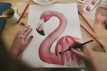 Woman's Hand Painting Aquarelle Of A Flamingo On Desk In Her Studio