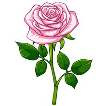 Pink Rose Cartoon Style
