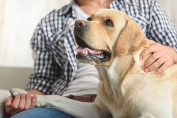 man petting his dog on a sofa