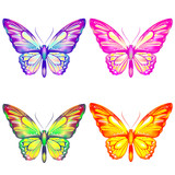 Fototapeta Motyle - color butterflies,isolated on a white
