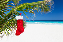 Christmas Stocking On Palm Tree At Tropical Beach