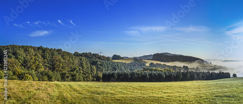 Fotografia  foggy rural landscape in morning in the eifel