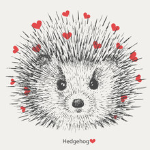 Hedgehog With Hearts