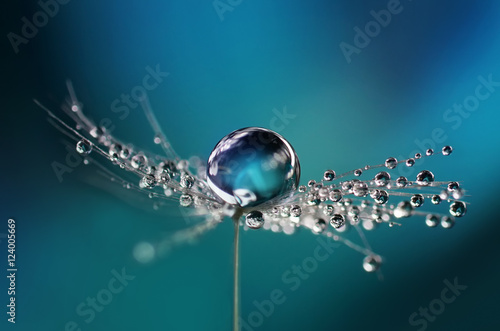 Beautiful dew drops on a dandelion seed macro. Beautiful soft light blue and violet background. Water drops on a parachutes dandelion on a beautiful blue. Soft dreamy tender artistic image form. © Laura Pashkevich