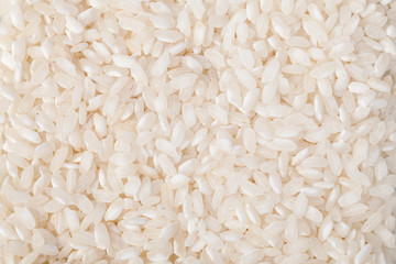Wall Mural - Natural rice Background
