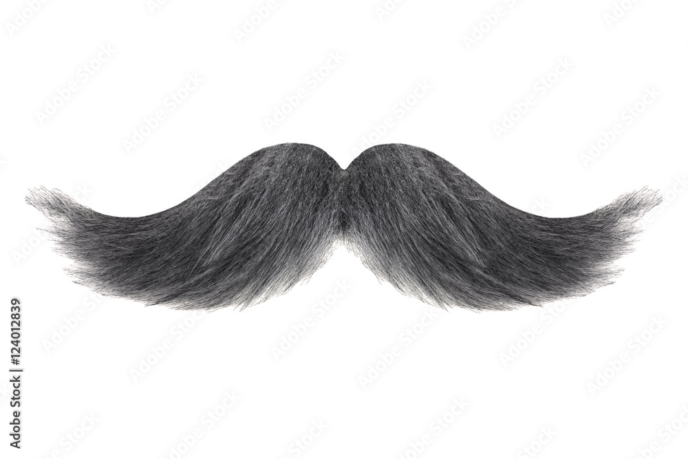 Curly black with grey moustache isolated on white - obrazy, fototapety, plakaty 