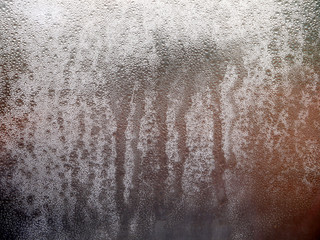 Poster - Texture drops of water on the transparent glass