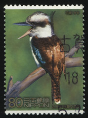 Poster - japan bird