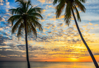 Caribbean sunset with two palm trees with clouds