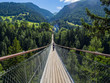 puente colgante de Ernen Goms sobre el rio Ródano, Suiza verano de 2016 OLYMPUS DIGITAL CAMERA