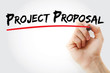 © dizain - Hand writing project proposal with marker, concept background