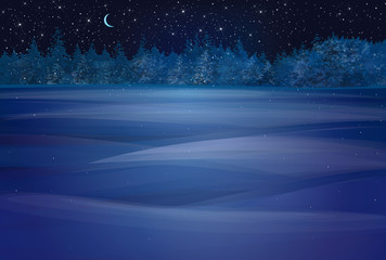 Wall Mural - Vector winter wonderland night background.