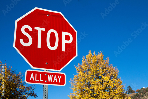 Fotografie, Obraz Stop sign with changing colors of autumn trees