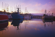 Sunrise Through The Morning Fog And Fishing Boats In Newport Harbor; Newport, Oregon, United States Of America