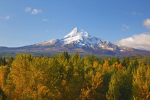 Mount Hood And Autumn Colors In Hood River Valley, Oregon, USA
